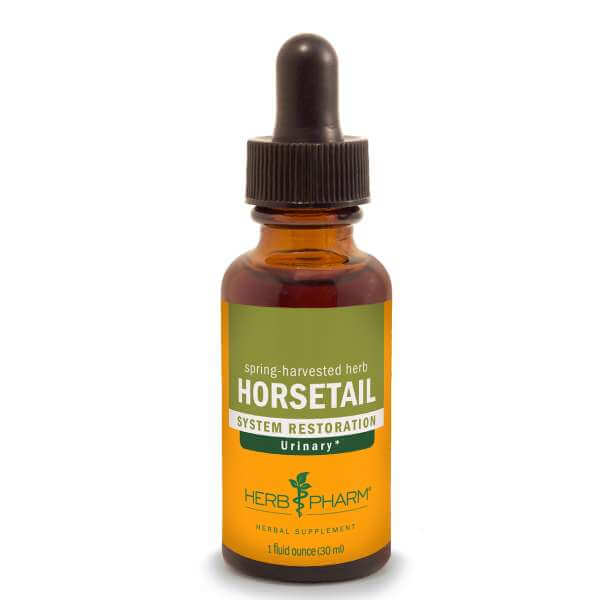 Horsetail-1-1.jpg Horsetail