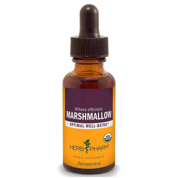 marshmallow-1-1.jpg Marshmallow Root