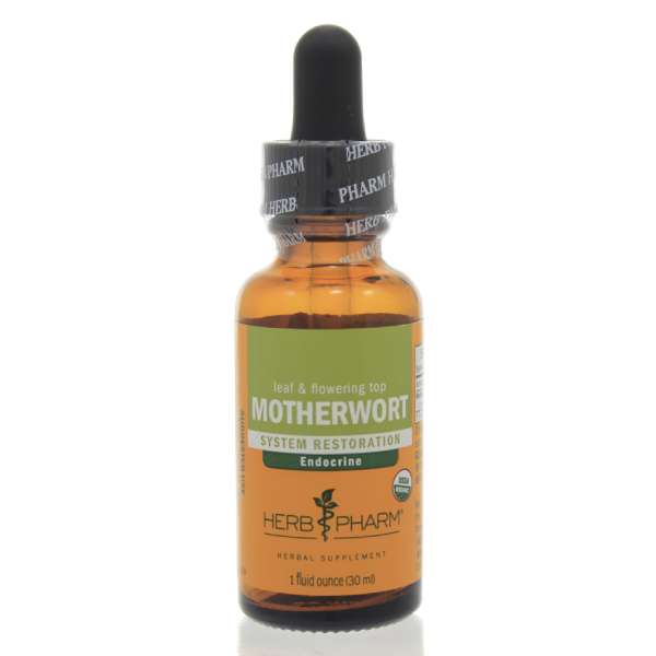 motherwort.jpeg Motherwort