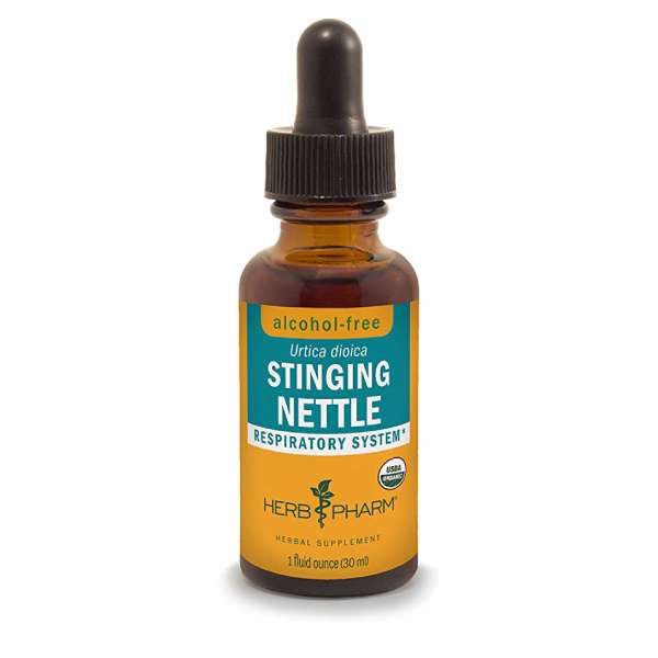 Stinging Nettle