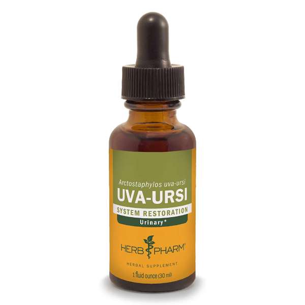 uvaurs.jpg Uva Ursi (Bearberry)